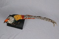 銀雞藏品圖，第8張